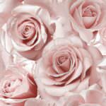 Muriva Madison Floral Glitter Raspberry Wallpaper 139521