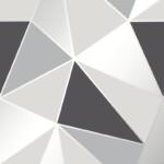 Fine Decor Apex Geometric Rose Black & Silver Wallpaper FD41994