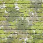 Muriva Camouflage Brick Green Wallpaper L33504