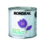 Ronseal Outdoor Garden Paint 250ml Purple Berry